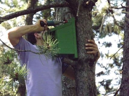 Završen projekat „Za ljepši Nikšić“ Završen projekat „Za ljepši Nikšić“