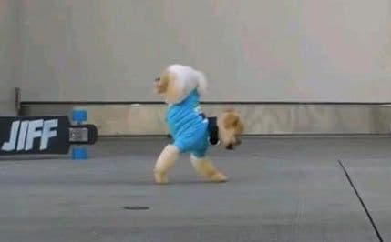 VIDEO: Hoda kako poželi! VIDEO: Hoda kako poželi!