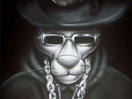 Član bande Pink Panter pobjegao iz švajcarskog zatvora Član bande Pink Panter pobjegao iz švajcarskog zatvora