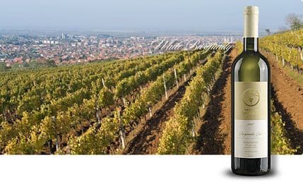 Kinezi kupili Vršačke vinograde  Kinezi kupili Vršačke vinograde