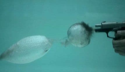 VIDEO: Meci ispaljeni pod vodom stvaraju mini tornada VIDEO: Meci ispaljeni pod vodom stvaraju mini tornada