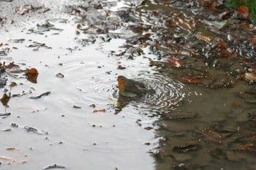 Poslije vreline, nevrijeme u Austriji Poslije vreline, nevrijeme u Austriji
