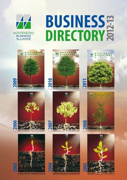 MBA: Deset godina biznis direktorijuma MBA: Deset godina biznis direktorijuma