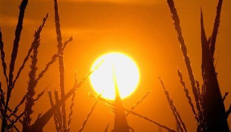 Srušeni rekordi: U Ljubljani 39,5 stepeni, Budimpešti 37,9 Srušeni rekordi: U Ljubljani 39,5 stepeni, Budimpešti 37,9