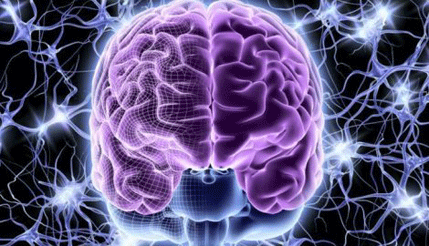 U ljudskom mozgu nađene ćelije koje se ponašaju kao GPS U ljudskom mozgu nađene ćelije koje se ponašaju kao GPS