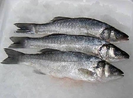 Uhapšeni osumnjičeni za krijumčarenje orade i brancina Uhapšeni osumnjičeni za krijumčarenje orade i brancina