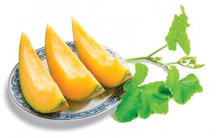 Pipun: Malo kalorija a obiluje vitaminima Pipun: Malo kalorija a obiluje vitaminima