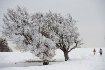 U Sloveniji pao snijeg U Sloveniji pao snijeg