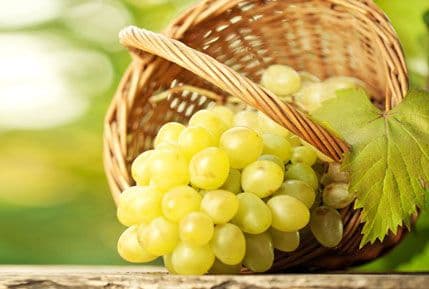 Kada treba biti oprezan s grožđem? Kada treba biti oprezan s grožđem?