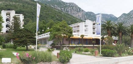 Trend Korali: Gubitak skoro duplo manji Trend Korali: Gubitak skoro duplo manji