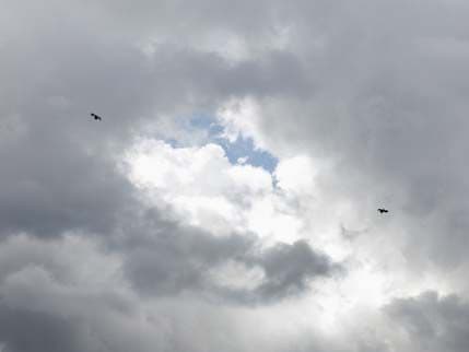 Sjutra oblačno sa kišom Sjutra oblačno sa kišom