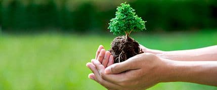 Kozmodet: Manja potrošnja deterdženta čuva životnu sredinu Kozmodet: Manja potrošnja deterdženta čuva životnu sredinu