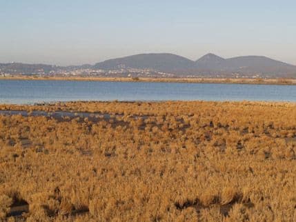 CZIP organizuje obuku za vodiče na Ulcinjskoj solani CZIP organizuje obuku za vodiče na Ulcinjskoj solani