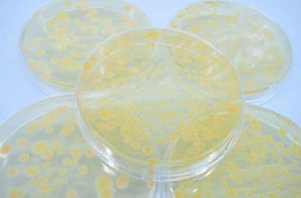 Naučnici tvrde da su otkrili dokaz vanzemaljskog života Naučnici tvrde da su otkrili dokaz vanzemaljskog života