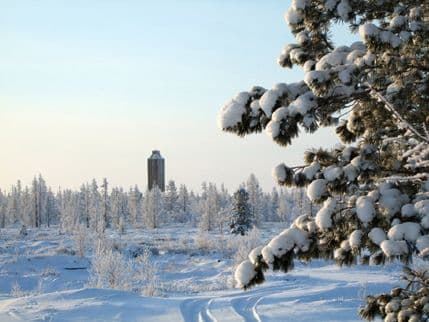 Čudna priča iz Sibira: 'Šumski dječak' pronađen nakon 16 godina u divljini Čudna priča iz Sibira: 'Šumski dječak' pronađen nakon 16 godina u divljini