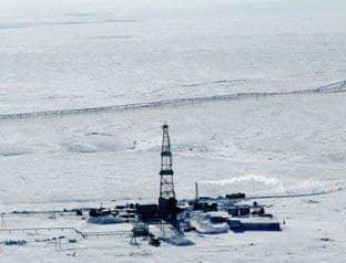 Otkriven oblik života u ledenom jezeru Hodžson, star čak 100.000 godina Otkriven oblik života u ledenom jezeru Hodžson, star čak 100.000 godina