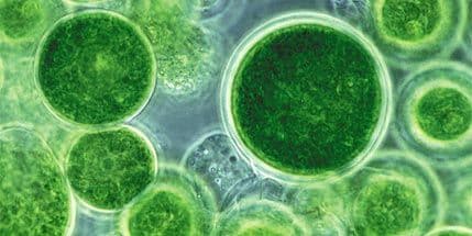 Naučnici pronašli dokaze o vanzemaljskom životu – u atmosferi Zemlje!? Naučnici pronašli dokaze o vanzemaljskom životu – u atmosferi Zemlje!?