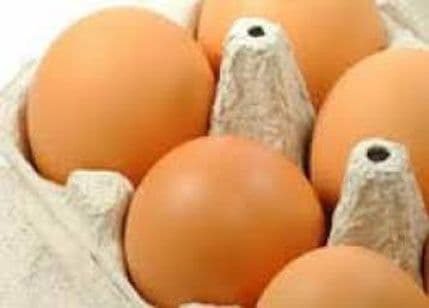 U prodaji organska jaja - komad 60 centi U prodaji organska jaja - komad 60 centi