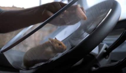 VIDEO: Kad hrčak upravlja kamionom VIDEO: Kad hrčak upravlja kamionom