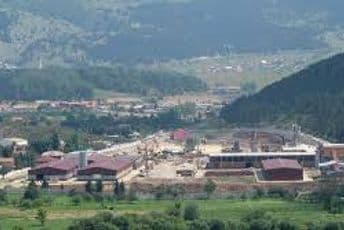 Brković od jula ne smije da siječe šumu Brković od jula ne smije da siječe šumu