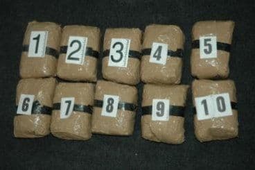 U Francuskoj zaplijenjeno 1,3 tone kokaina U Francuskoj zaplijenjeno 1,3 tone kokaina