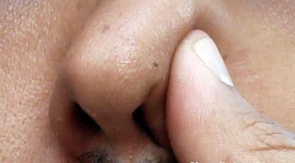 Čovjek osjeća deset baznih vrsta mirisa Čovjek osjeća deset baznih vrsta mirisa