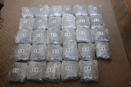 U bjelopoljskom selu Grab zaplijenjeno oko 30 kilograma skanka U bjelopoljskom selu Grab zaplijenjeno oko 30 kilograma skanka