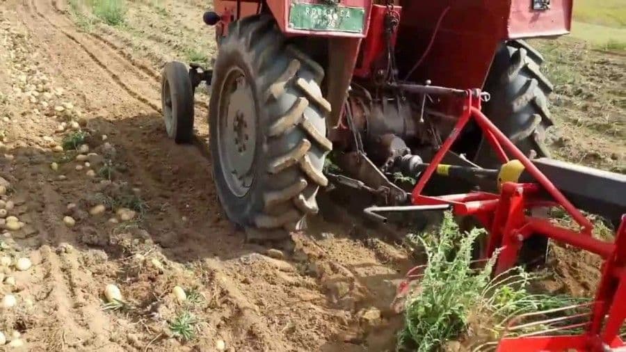 Durmitor: Snijeg ubrzao jesenje radove Durmitor: Snijeg ubrzao jesenje radove