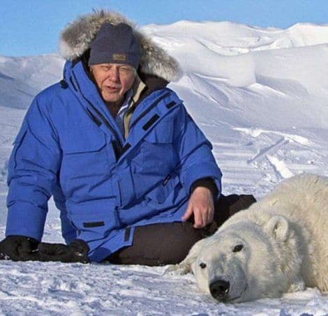 BBC snimao scene sa "Sjevernog pola" u zoološkom vrtu? BBC snimao scene sa "Sjevernog pola" u zoološkom vrtu?