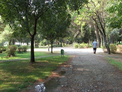 Vukčević: Mlade treba uključiti u sport Vukčević: Mlade treba uključiti u sport