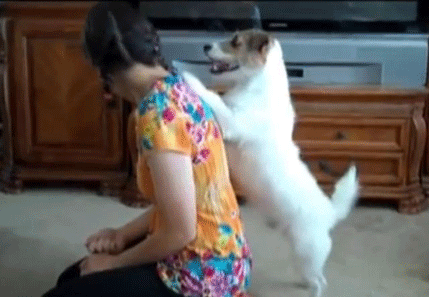 Uz ovakvog psa, svaki posao je lak (VIDEO) Uz ovakvog psa, svaki posao je lak (VIDEO)