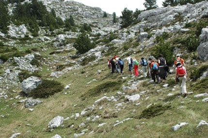 Uspješno ljeto za Kotor i Vučje Uspješno ljeto za Kotor i Vučje