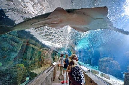 Tržni centar kao atrakcija Tržni centar kao atrakcija