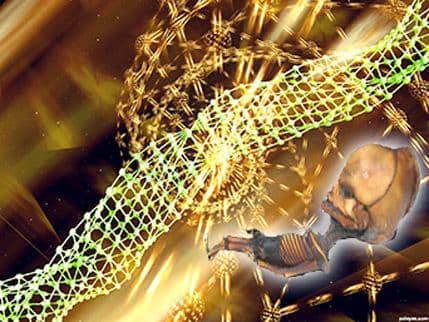 Naučnici će uskoro moći da stvore ćelije vanzemaljaca? Naučnici će uskoro moći da stvore ćelije vanzemaljaca?