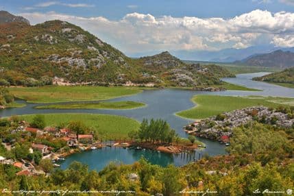 Grin houm: Poljoprivreda najveći zagađivač Skadarskog jezera Grin houm: Poljoprivreda najveći zagađivač Skadarskog jezera