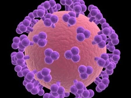 Nova vrsta virusa HIV-a širi se velikom brzinom Nova vrsta virusa HIV-a širi se velikom brzinom