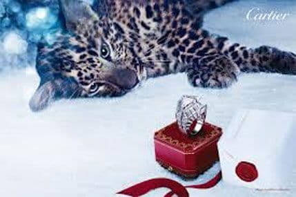 Prvi štrajk u istoriji "Kartijea" Prvi štrajk u istoriji "Kartijea"