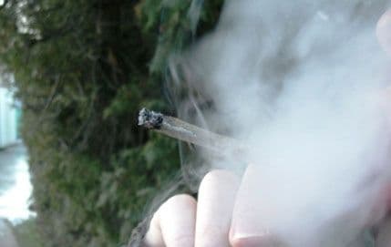 Većina Amerikanaca za legalizaciju marihuane Većina Amerikanaca za legalizaciju marihuane