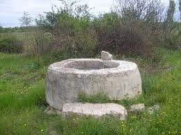 Niški vatrogasci sedam sati spašavali bika iz bunara Niški vatrogasci sedam sati spašavali bika iz bunara