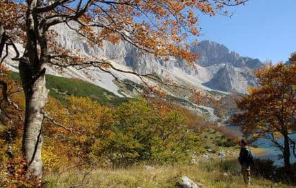 Nadzornik u NP „Biogradska gora“ suspendovan zbog krivolova Nadzornik u NP „Biogradska gora“ suspendovan zbog krivolova