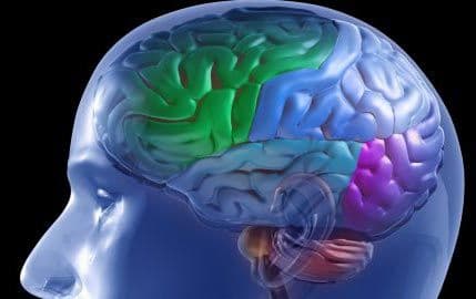 Pentagon ulaže u novi projekat istraživanja i manipulacije mozgom Pentagon ulaže u novi projekat istraživanja i manipulacije mozgom