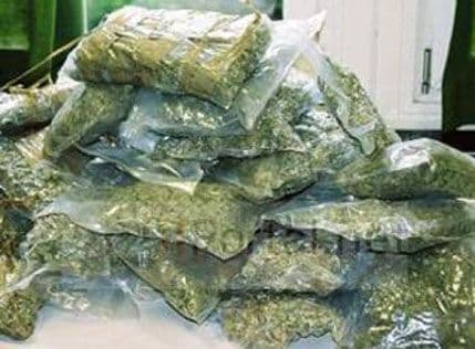 Zaplijenili drogu vrijednu 5 miliona eura Zaplijenili drogu vrijednu 5 miliona eura