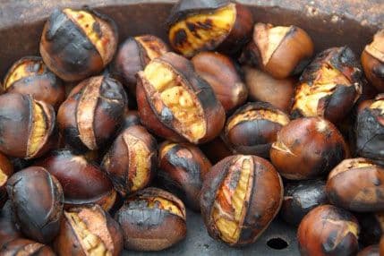 Koštanj, ukusan, a ne goji      Koštanj, ukusan, a ne goji