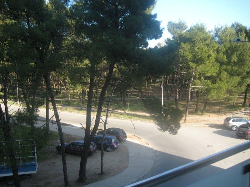 Podgorica: Za svako uklonjeno stablo Zelenilo će posaditi tri nova Podgorica: Za svako uklonjeno stablo Zelenilo će posaditi tri nova