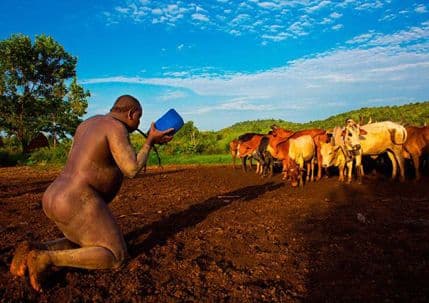 Što deblje to bolje: Evo što čine članovi jednog plemena u ime slave (VIDEO) Što deblje to bolje: Evo što čine članovi jednog plemena u ime slave (VIDEO)