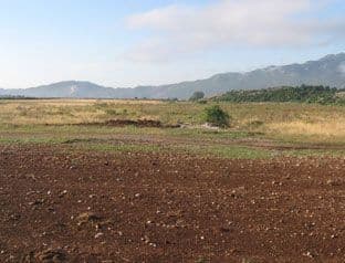 Za hektar zemljišta Grahovog, Šaskog i Kapinog polja ponuđena godišnja zakupnina od 150 do 1.500 eura Za hektar zemljišta Grahovog, Šaskog i Kapinog polja ponuđena godišnja zakupnina od 150 do 1.500 eura
