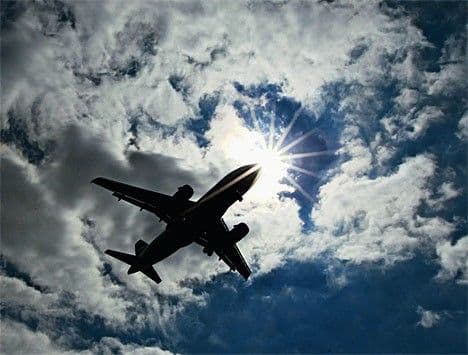 Poljska: Aerodrom zatvoren zbog dvije divlje svinje Poljska: Aerodrom zatvoren zbog dvije divlje svinje
