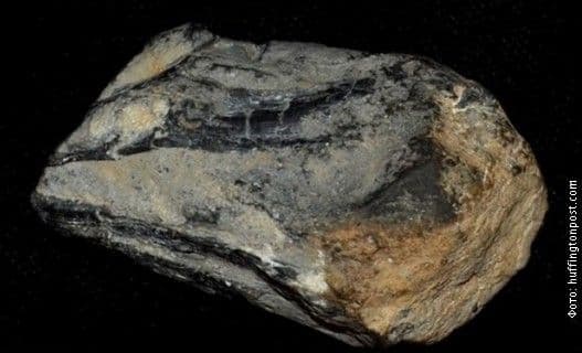 FOTO: Legendarno morsko čudovište zaista postojalo FOTO: Legendarno morsko čudovište zaista postojalo