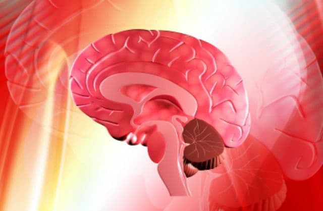 Nove tehnologije “čitanja” moždanih impulsa Nove tehnologije “čitanja” moždanih impulsa