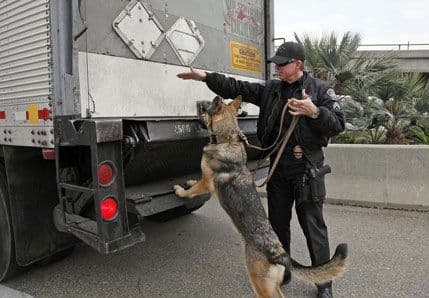 Policijski psi zaslužuju penziju Policijski psi zaslužuju penziju